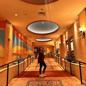 Meet your Posher, Lyra